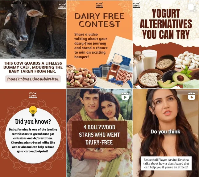 Dairy-free contest: Social contest