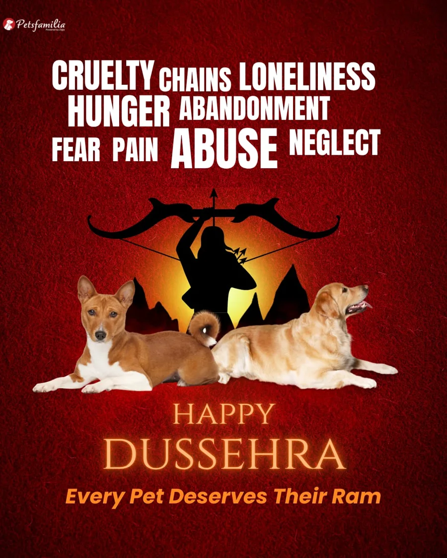 Petsfamilia: Dussehra