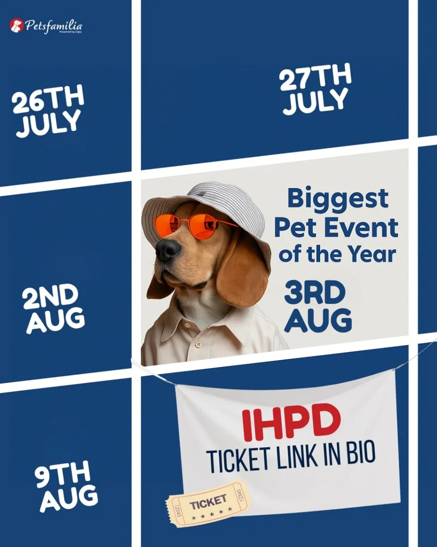 Petsfamilia: Pet event